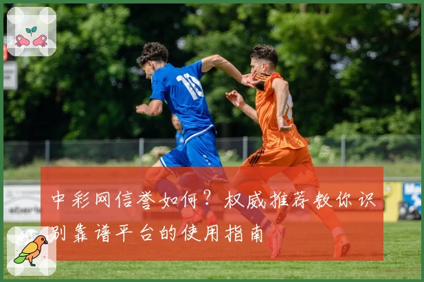 中彩网信誉如何？权威推荐教你识别靠谱平台的使用指南