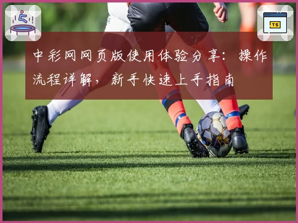 中彩网网页版使用体验分享：操作流程详解，新手快速上手指南