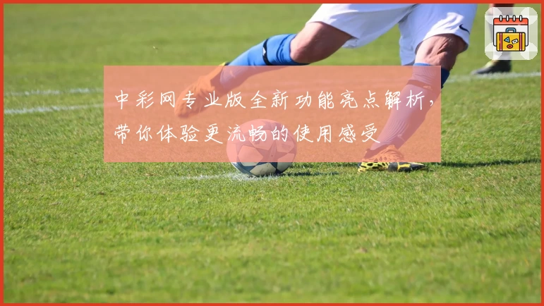 中彩网专业版全新功能亮点解析,带你体验更流畅的使用感受