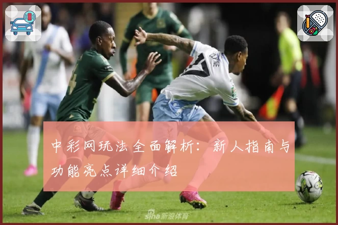 中彩网玩法全面解析：新人指南与功能亮点详细介绍