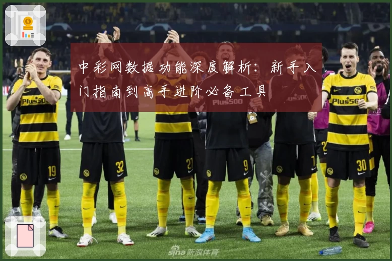 中彩网数据功能深度解析：新手入门指南到高手进阶必备工具