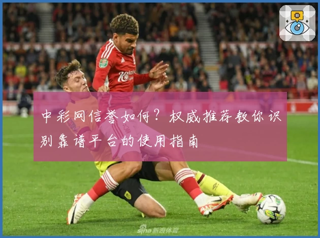 中彩网信誉如何？权威推荐教你识别靠谱平台的使用指南