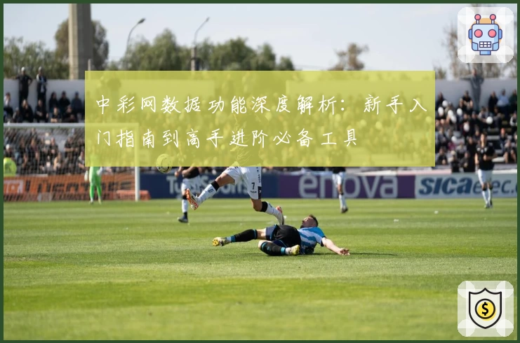 中彩网数据功能深度解析：新手入门指南到高手进阶必备工具