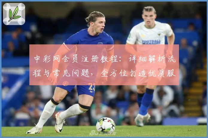 中彩网会员注册教程：详细解析流程与常见问题，全方位打造优质服务体验